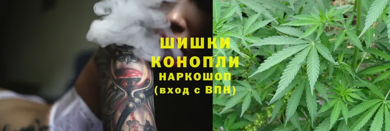 Бошки марихуана OG Kush  Абаза 